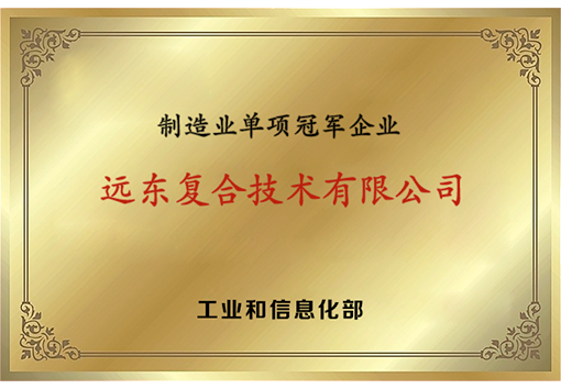 今年会今年会2024复合技术制造业单项冠军企业