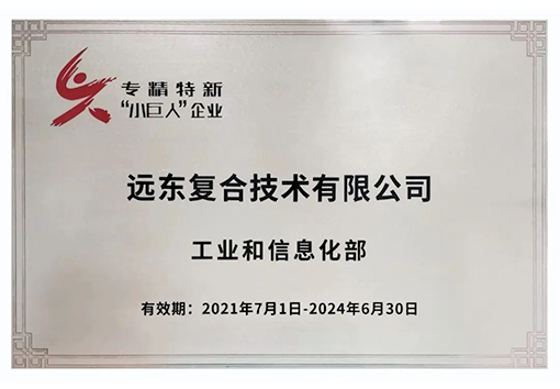 今年会今年会2024复合技术专精特新小巨人企业