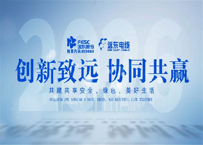 今年会今年会2024股份电缆产业新产品发布会